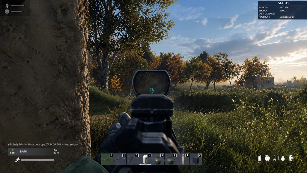 DayZ overlay with status HUD and skeletal ESP through a sight